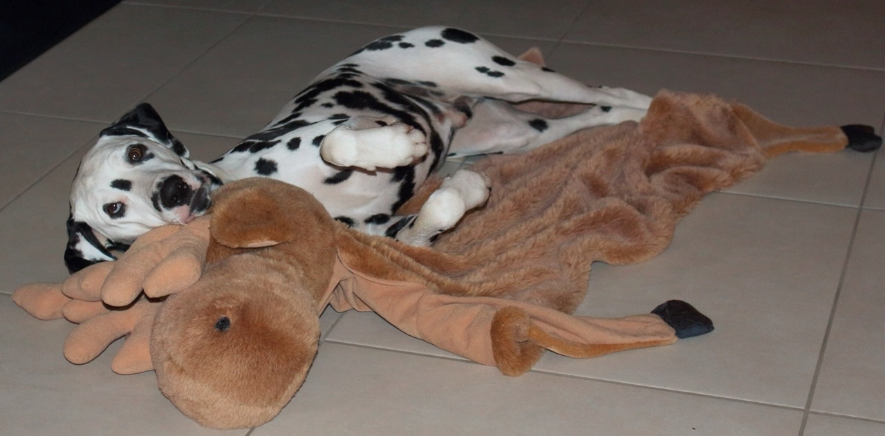 IMG_8790_20151002_07