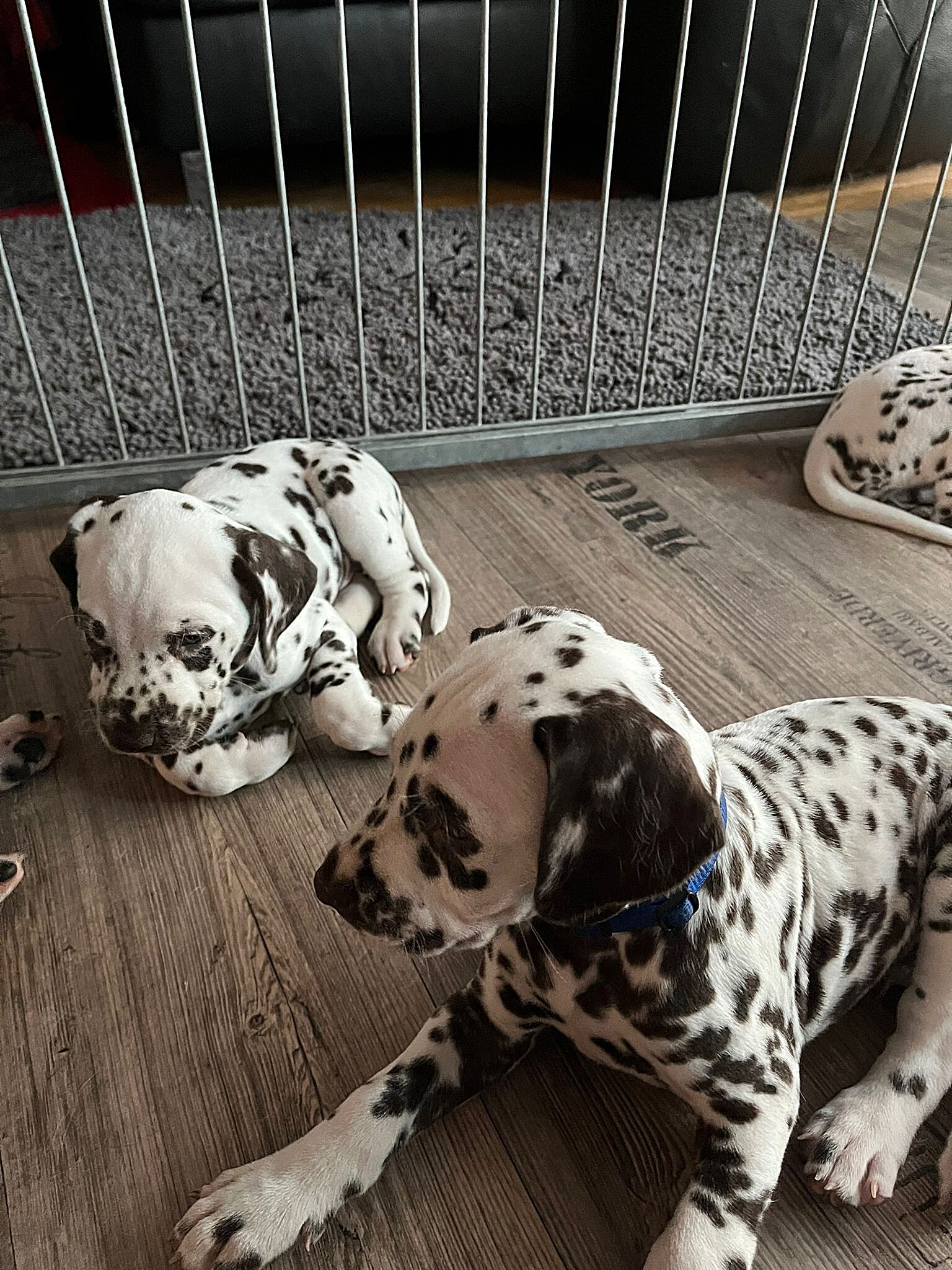 20240812_164500_b40db20b-4711-46e3-9315-51baac876744