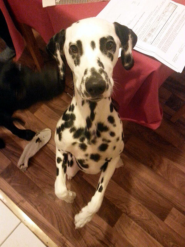 IMG_8804_20150302_04