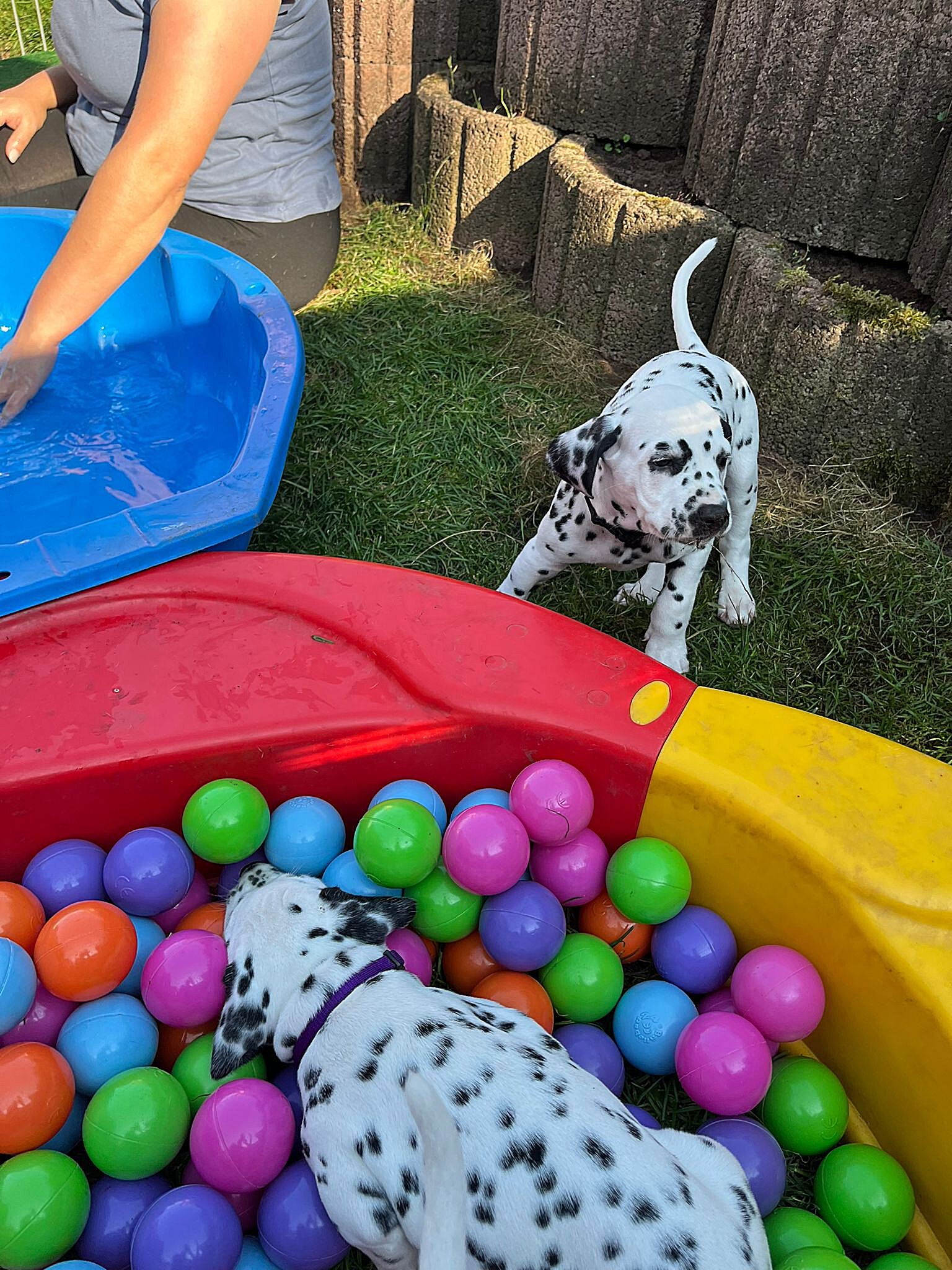 20240812_164500_ac3df732-1be5-4f45-9798-f78fe9678daf