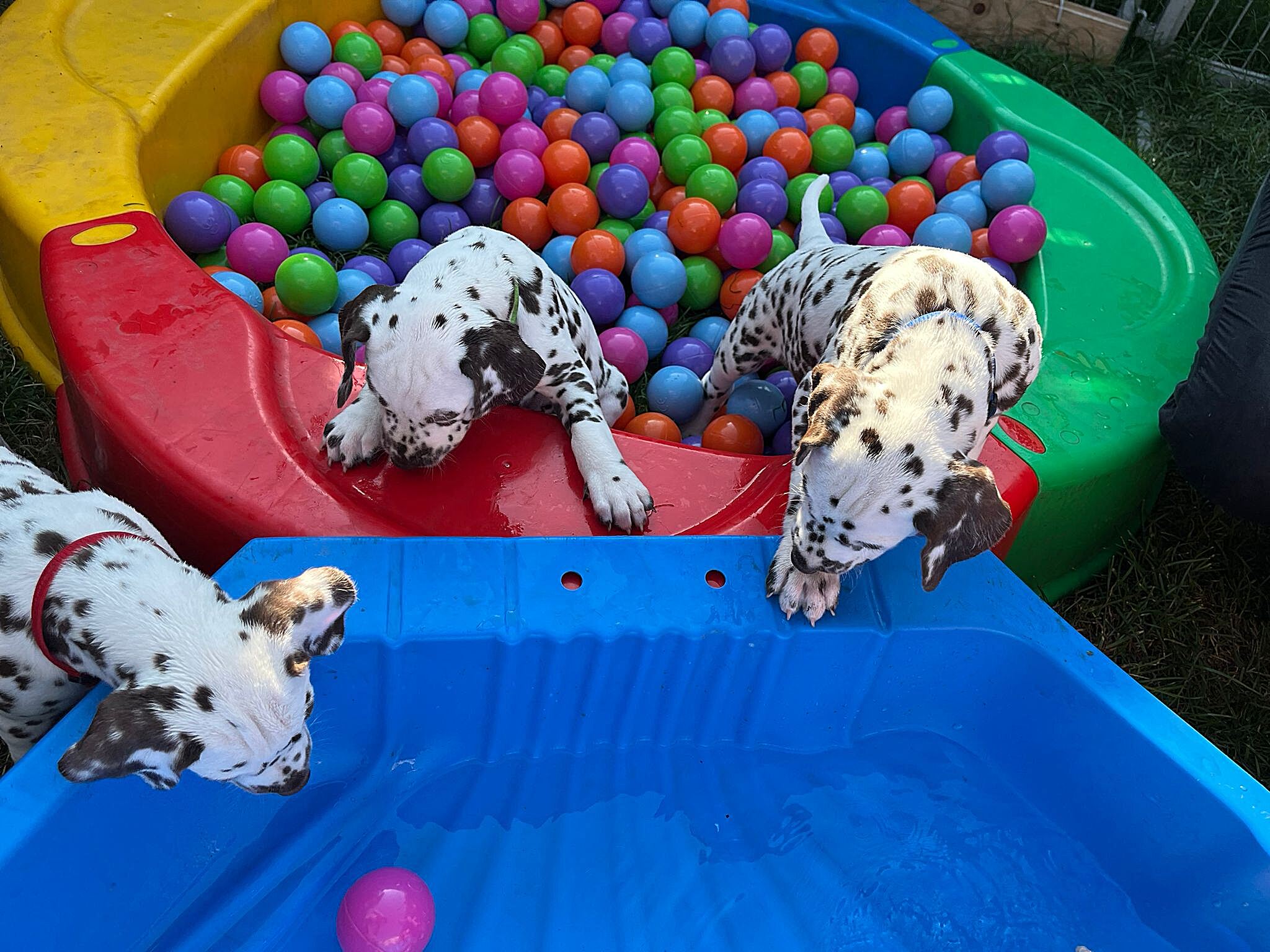 20240812_164500_5ac306ce-f131-468f-a0a5-fcbebd125f75