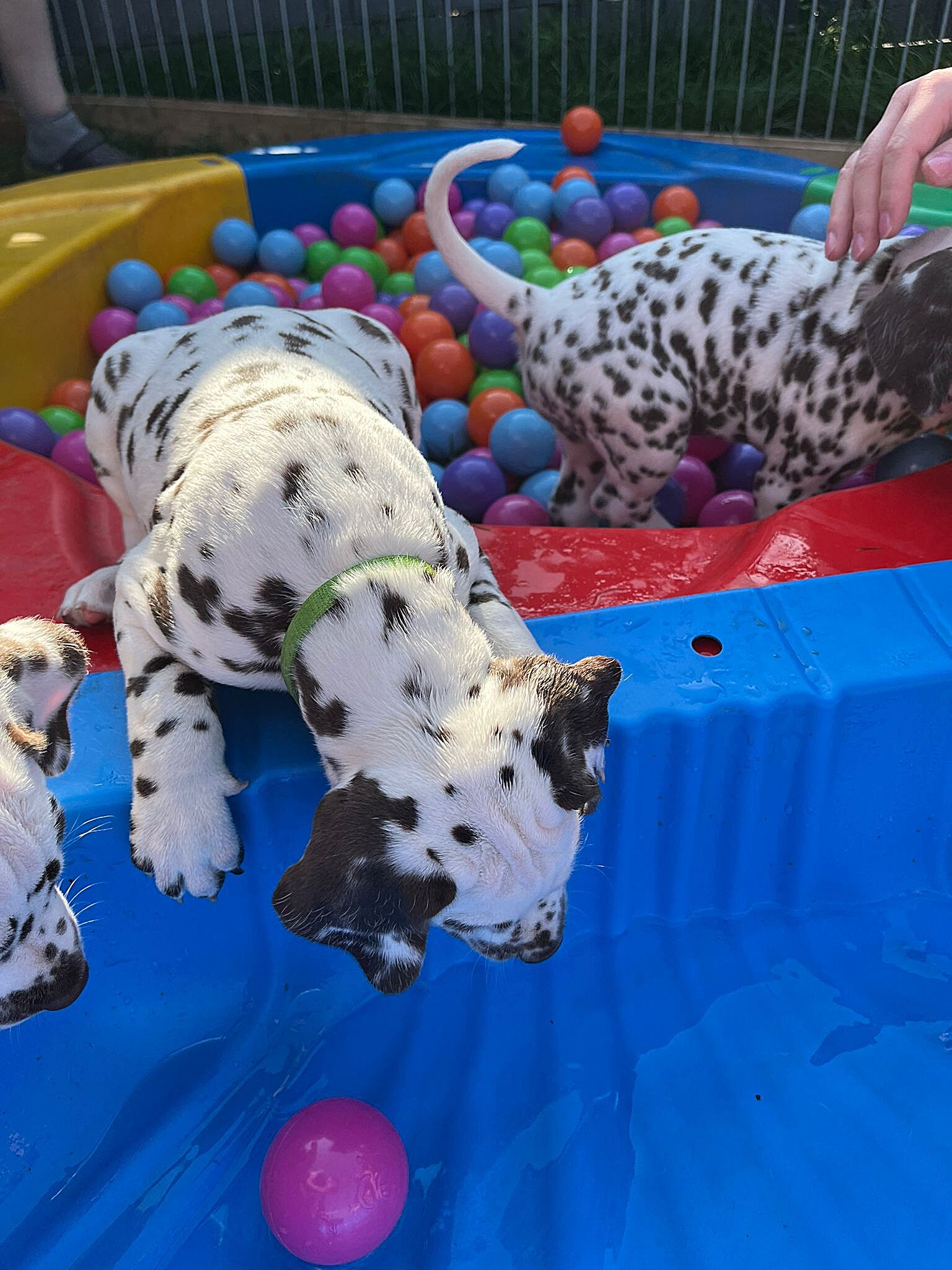 20240812_164500_9f709cc2-4aa7-47bb-951f-925ac0287475