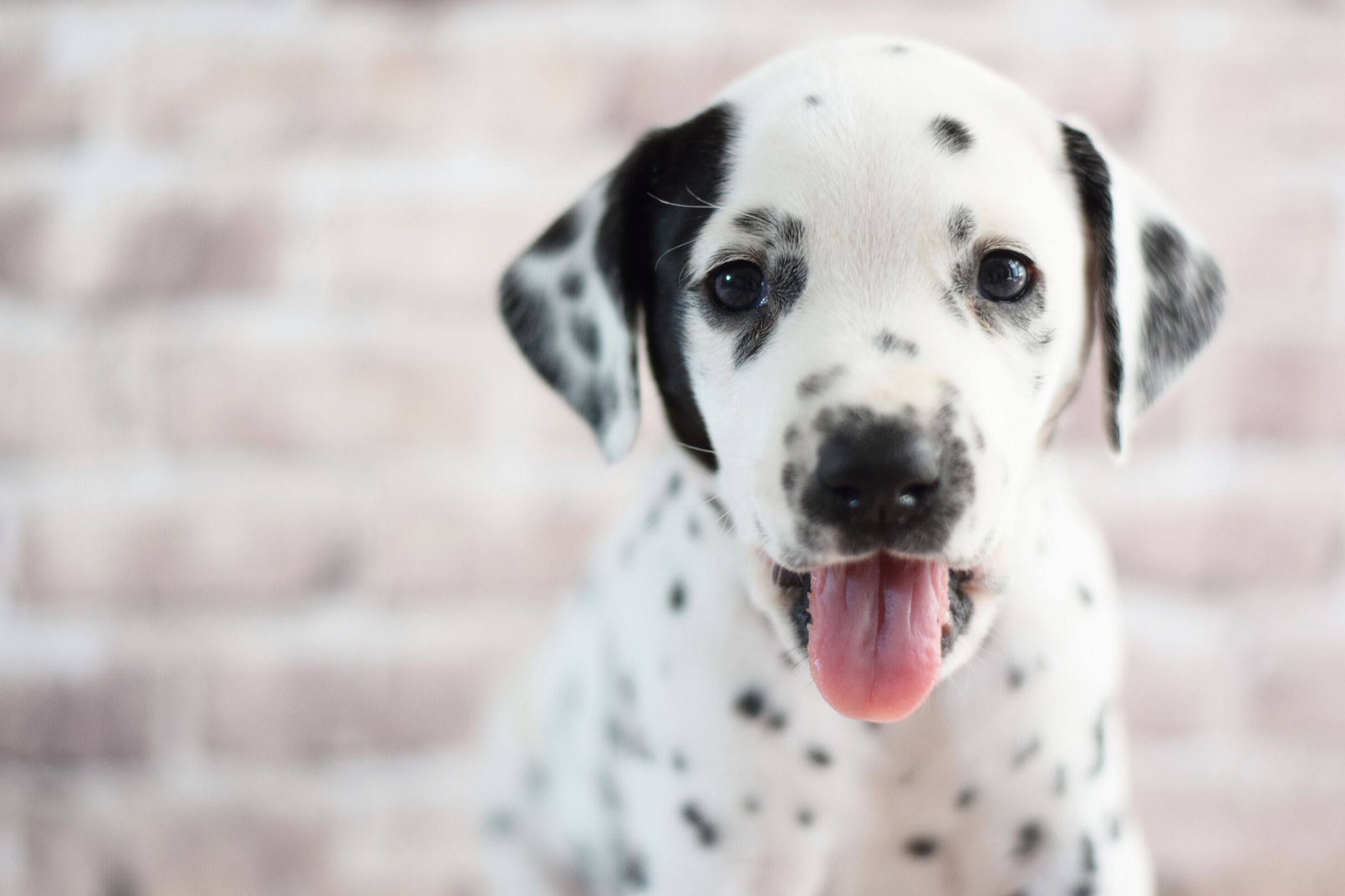 2021_04_27_60_Lightning