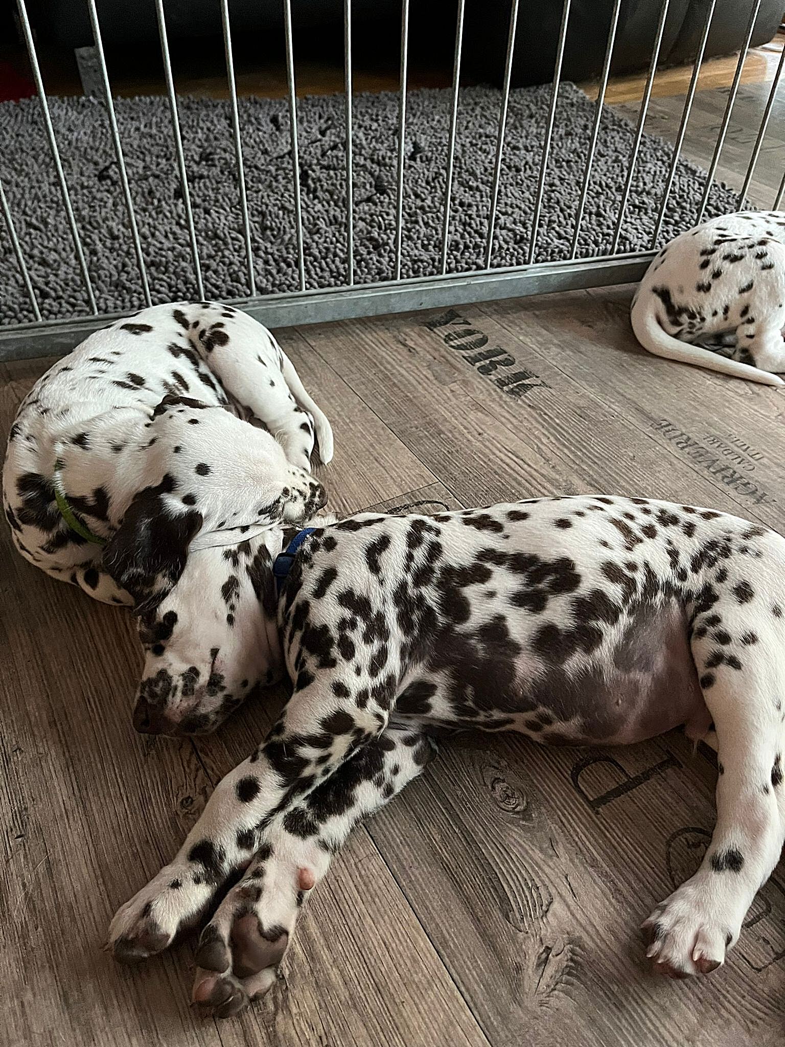 20240812_164500_3a98e376-fa87-482e-bf6f-371f0b4bc171