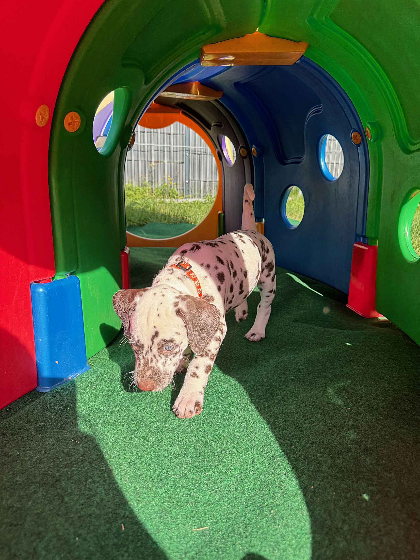 20240808_170000_image1