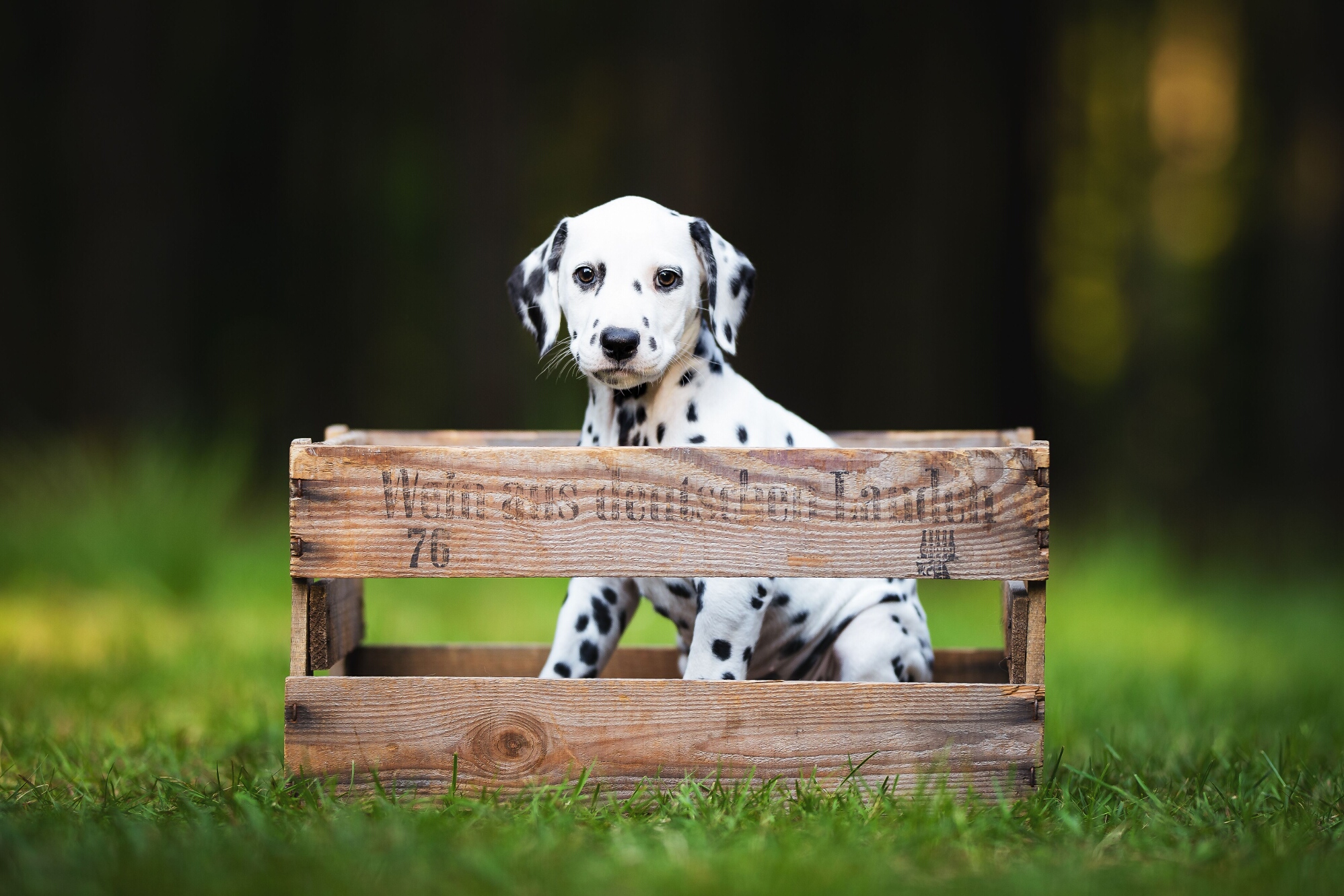 2019_05_29_Final_Shooting_Das_Pünktchen