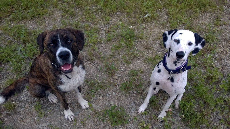 IMG_8859_200150402_7