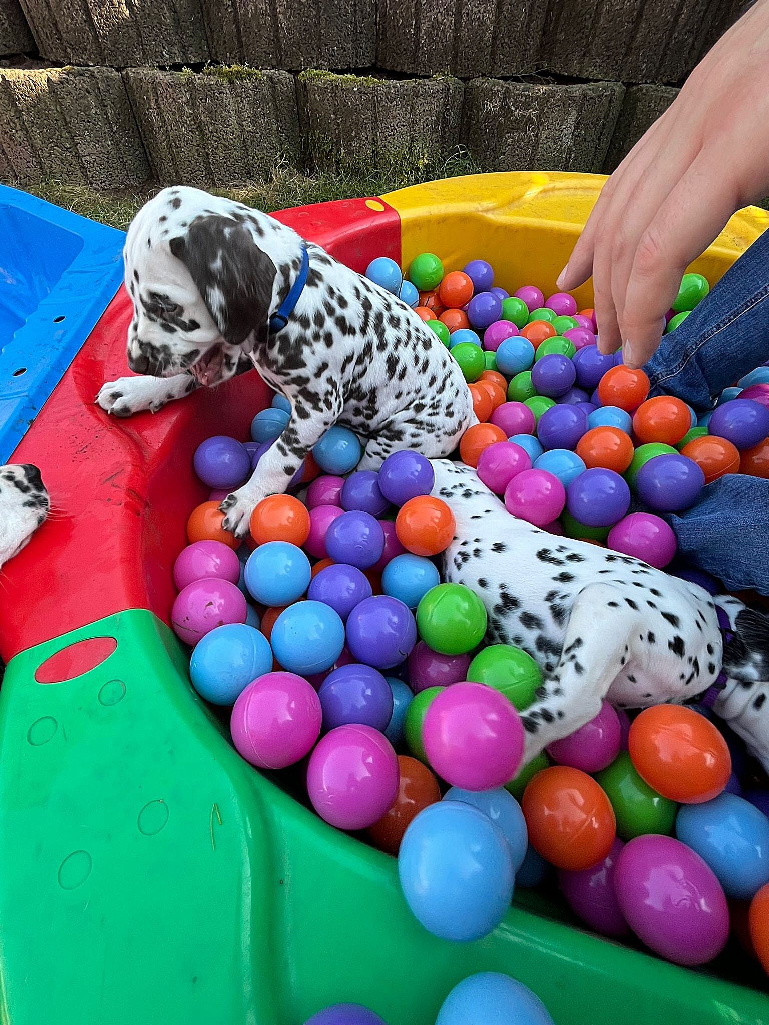 20240812_164500_624eb12f-d325-4a6e-83fe-db6906f8d4b3