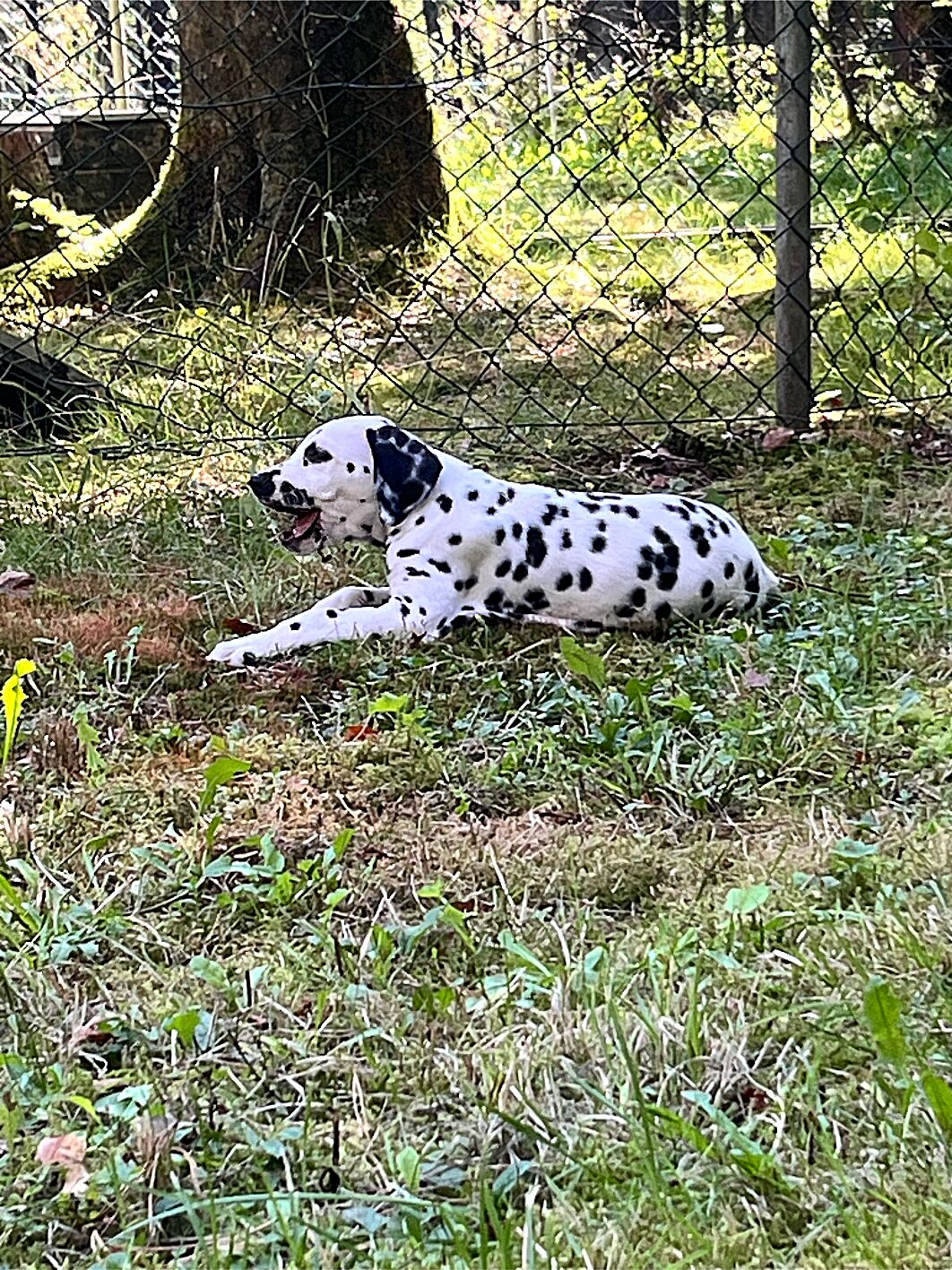 20240824_113016_IMG_8921