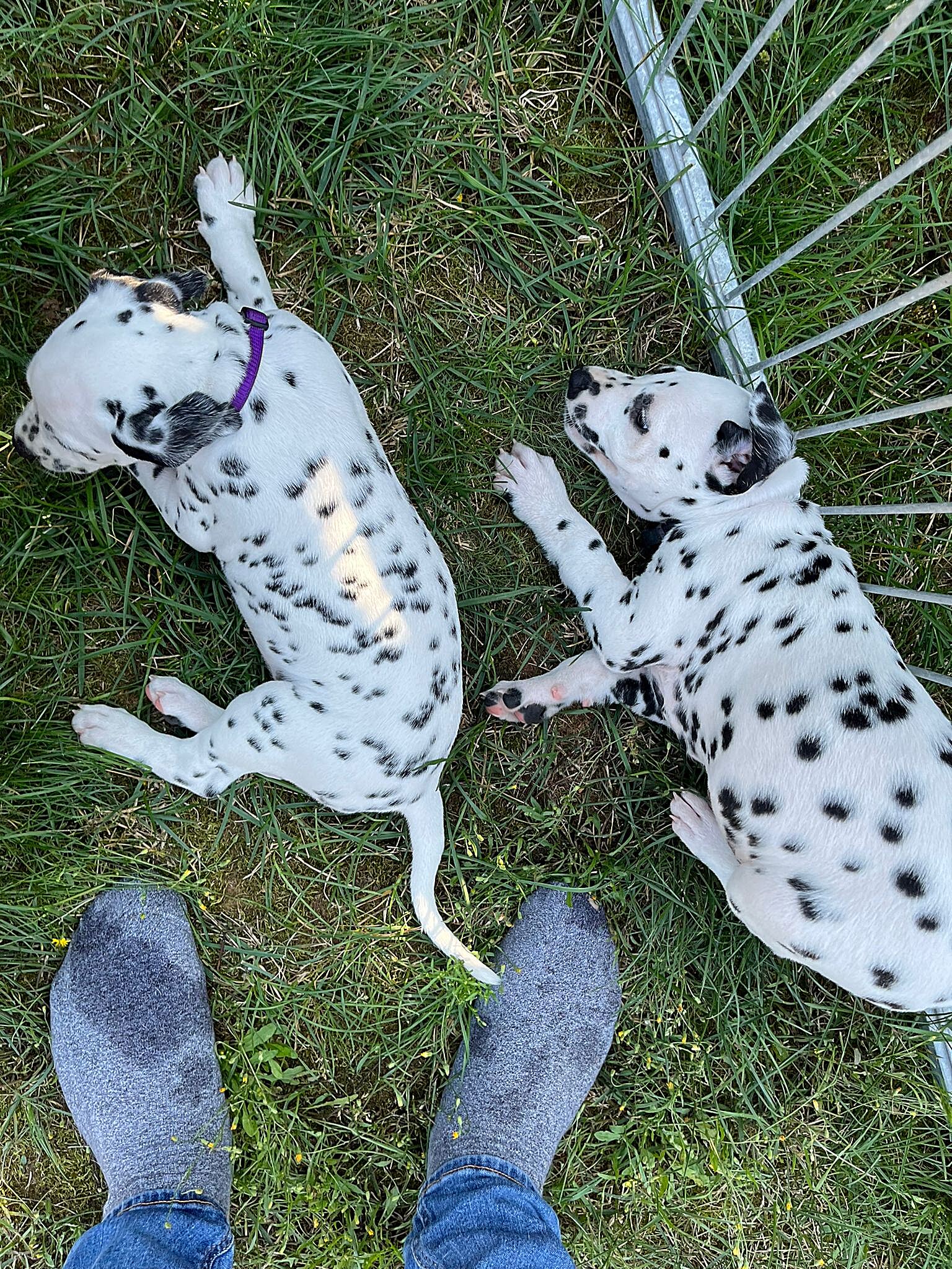 20240812_164500_7b6fa4ec-4d1b-499c-92ff-ec8507f065f5