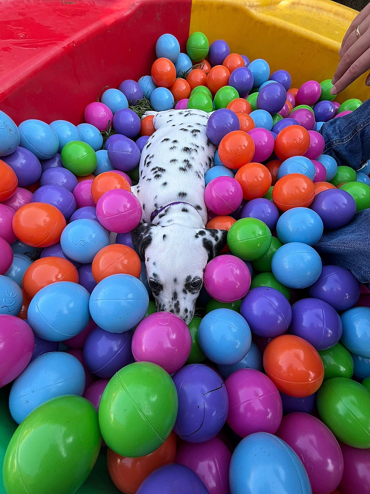 20240812_164500_1cb42d34-386e-48a4-b275-12396fb8d4da