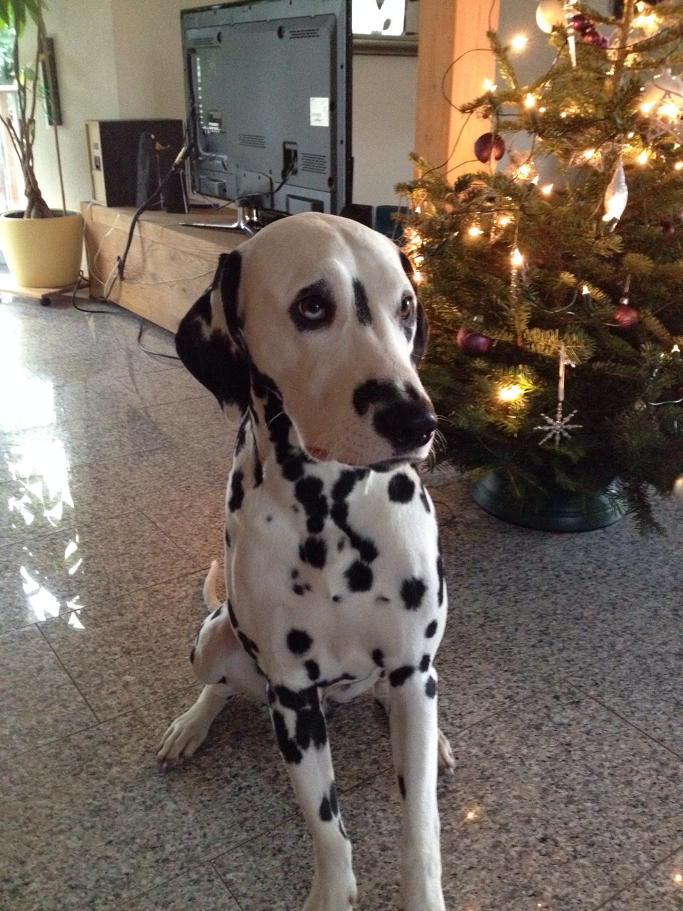 IMG_8790_20151002_01