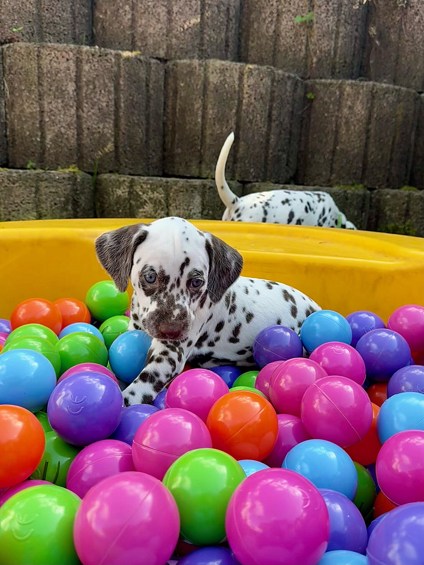 20240808_170000_image30