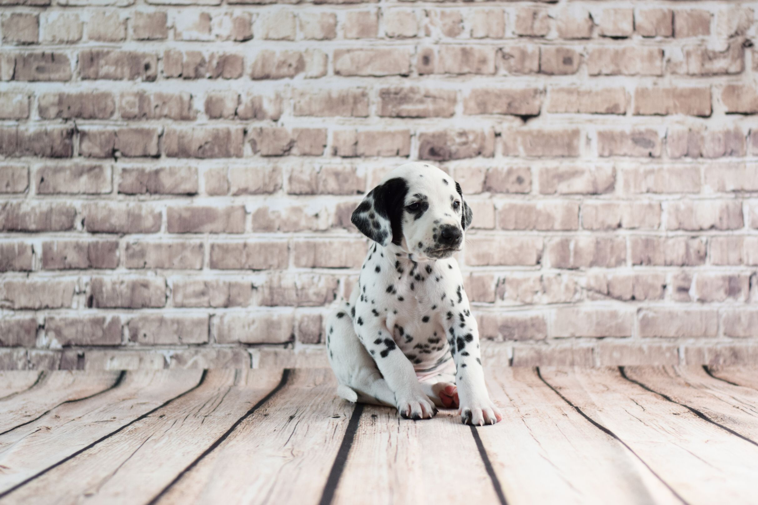 2021_04_27_50_Lightning