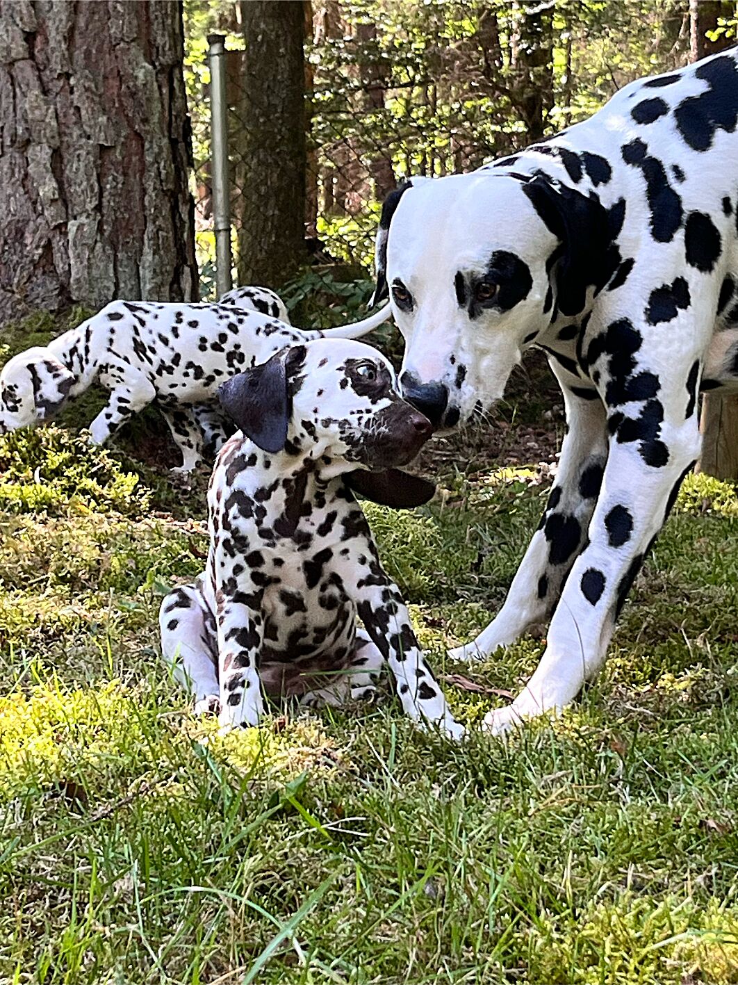 20240824_113016_IMG_8933