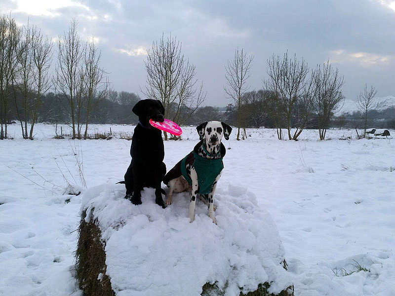 IMG_8804_20150302_06