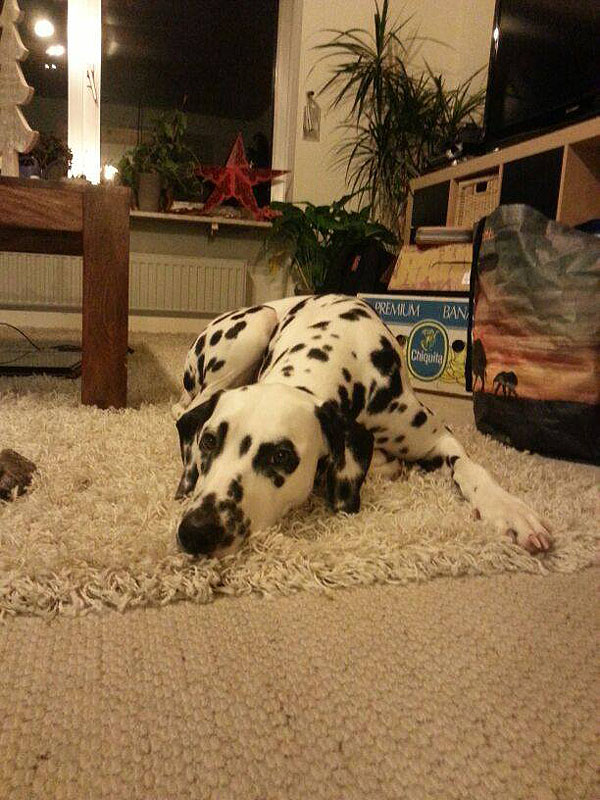 IMG_8804_20150302_05