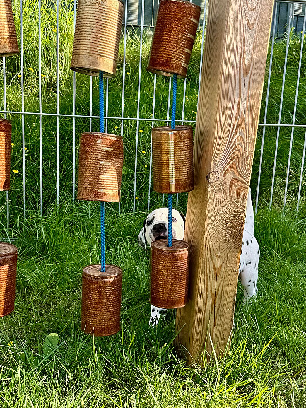 20240808_170000_image12