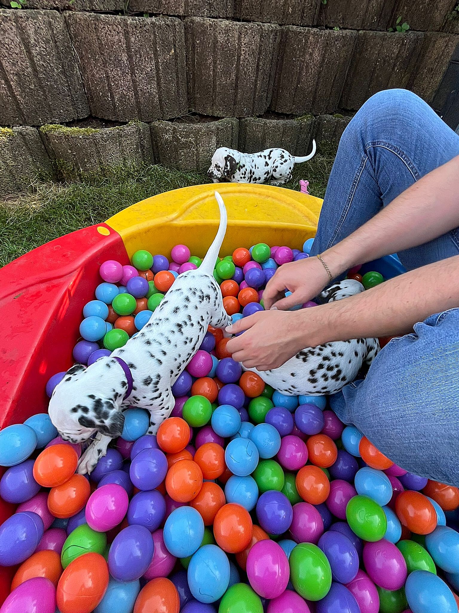 20240812_164500_5c5cff2d-8641-411b-b671-fd97ac545ee0