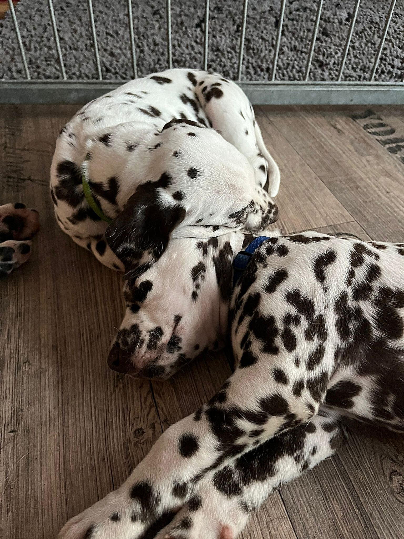 20240812_164500_30dd01a6-6633-4a29-8dd3-e1a13f06d0f0