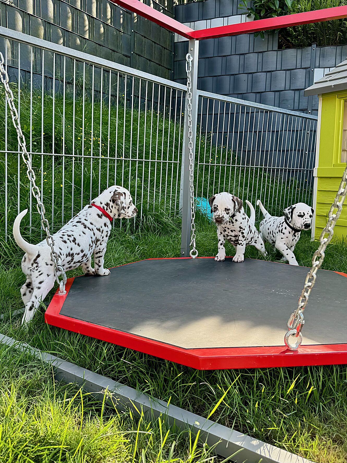 20240808_170000_image16