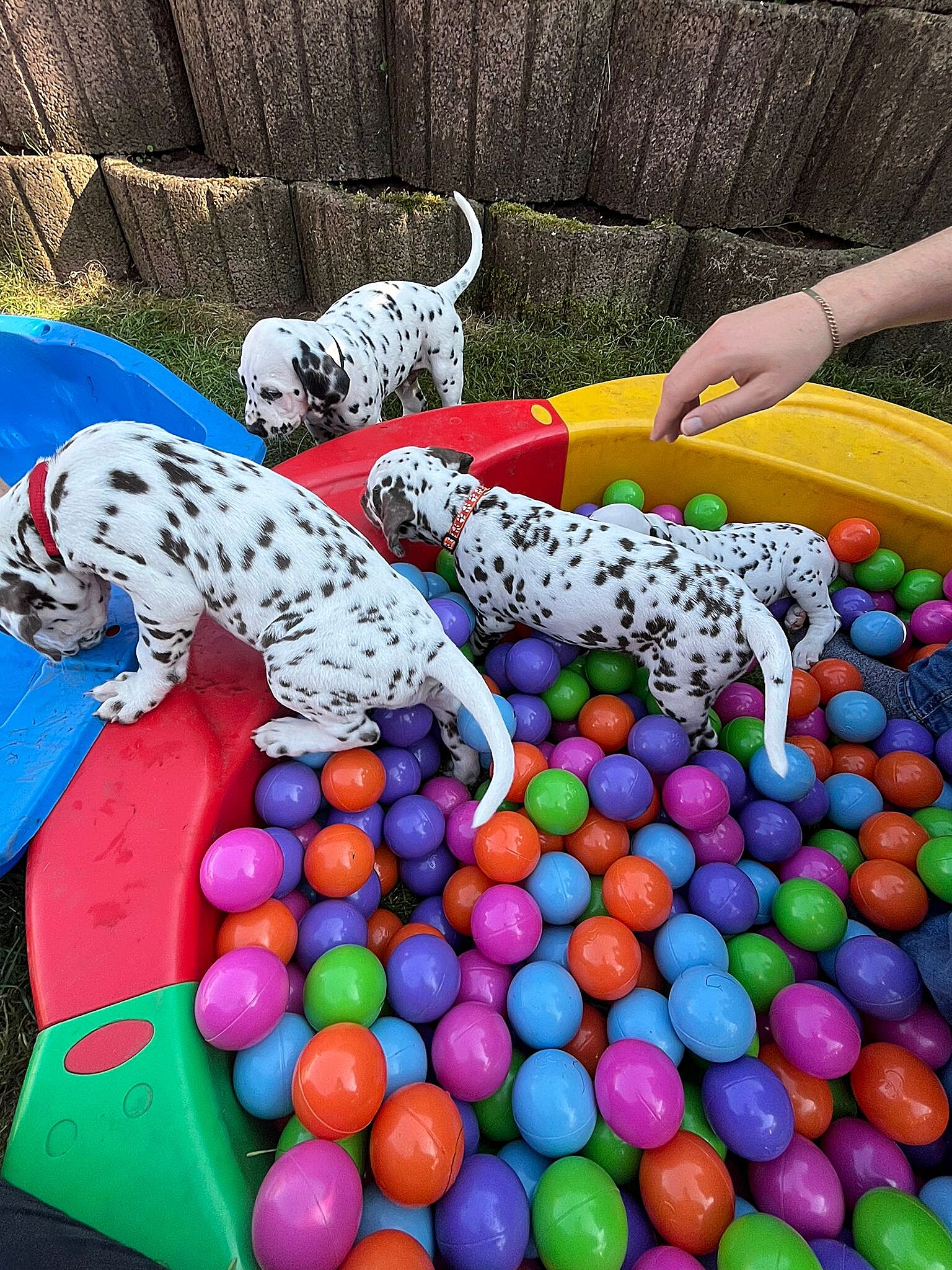 20240812_164500_5db6ea09-16ec-4352-b96e-b5784654c28c