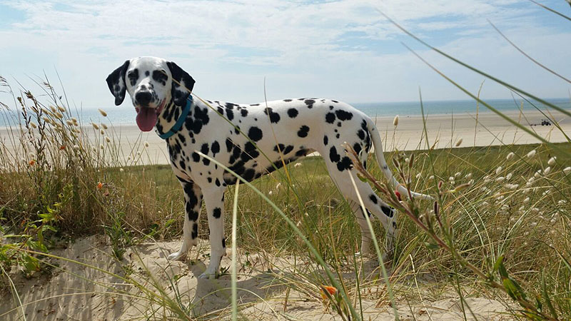 IMG_8804_20150302_30