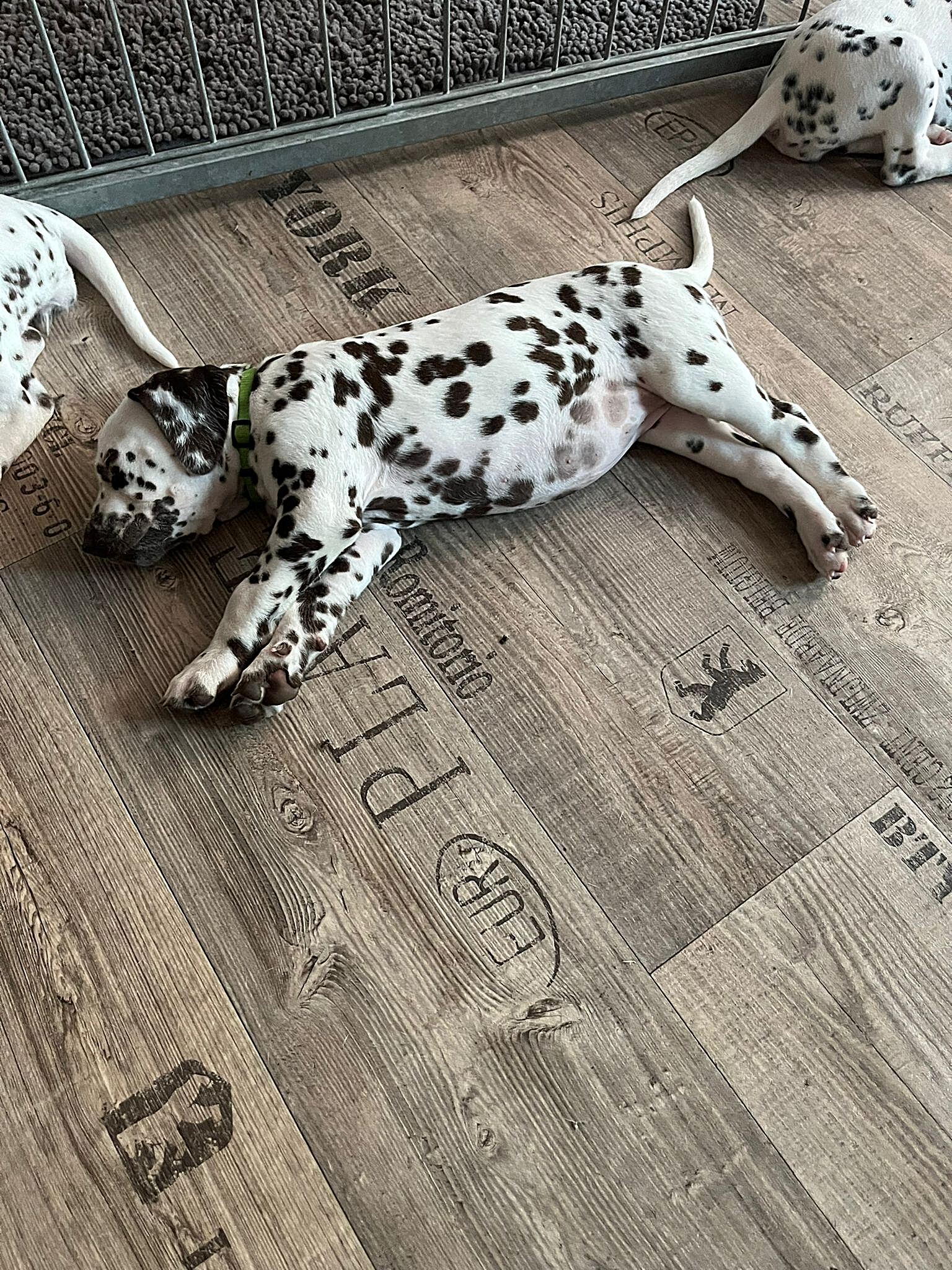 20240812_164500_4c0e35ba-b0bb-44f9-950d-e70f64182eec