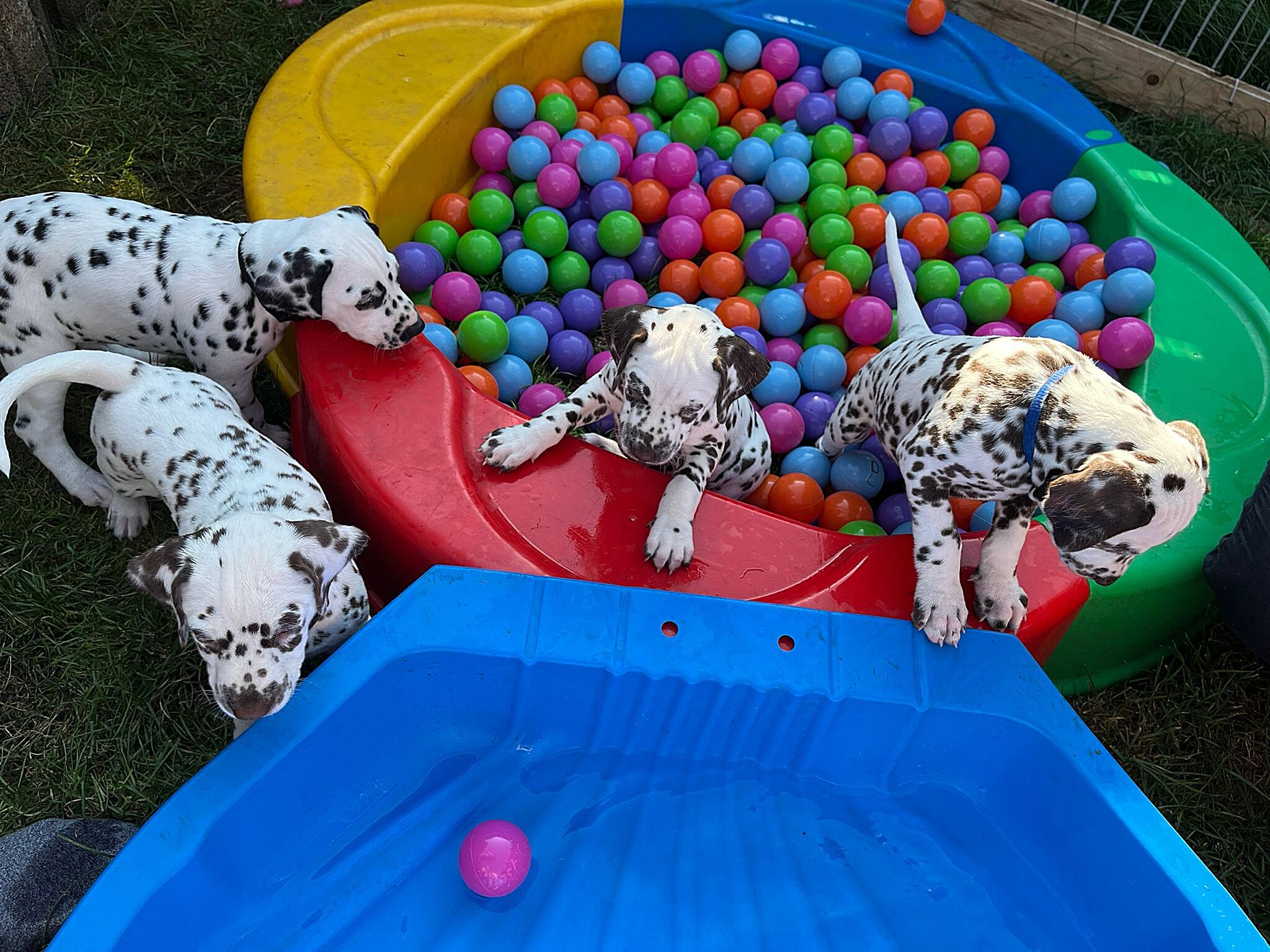 20240812_164500_9abd2944-747b-4bf4-88de-9de9151c3f1e