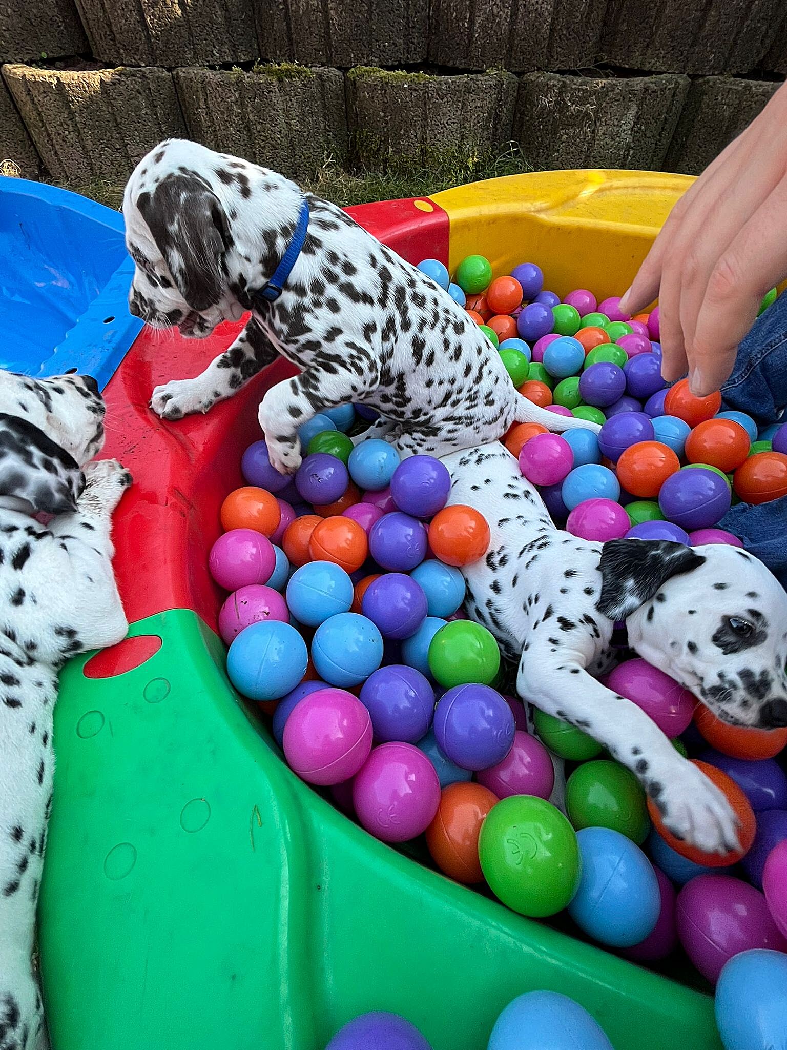 20240812_164500_f2992e6f-9f44-47f5-a2fb-11105bbc312a