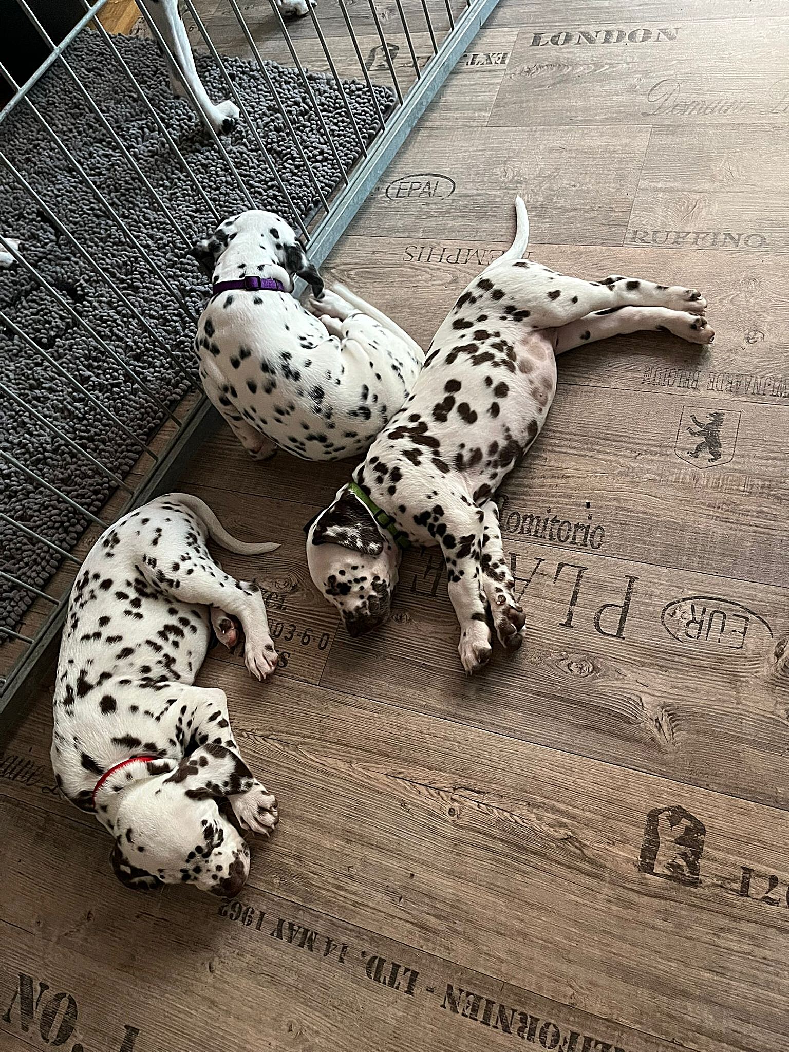 20240812_164500_77a820f5-faea-4b45-9380-6c95aae0e1ad